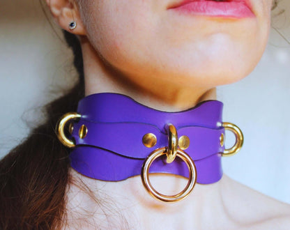 Premium BDSM Collar Submissive Collar  Elegant Bondage Accessory-0