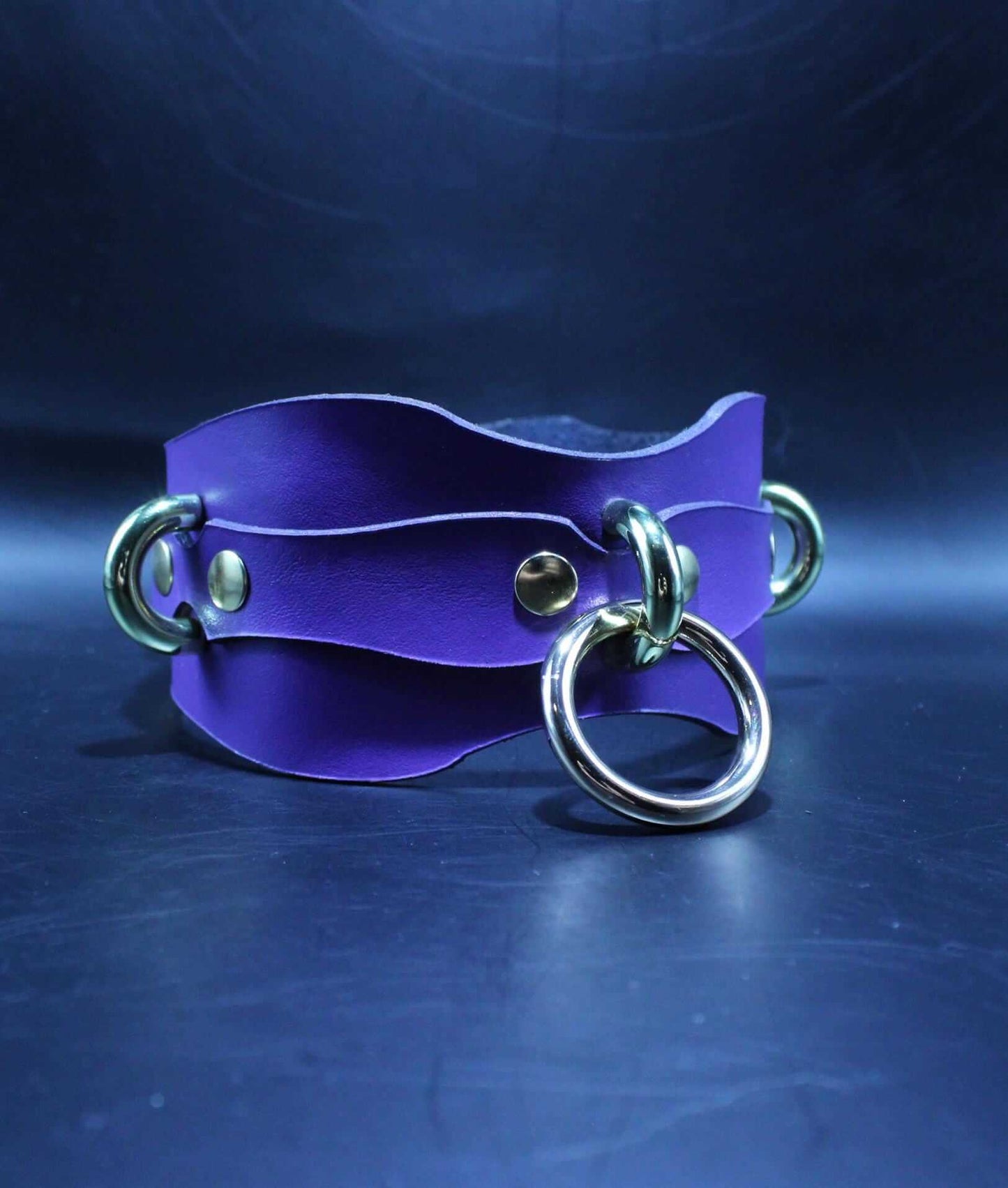 Premium BDSM Collar Submissive Collar  Elegant Bondage Accessory-1